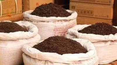 1766712749 untitled design 73.jpg