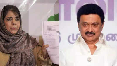 1766763093 untitled design.jpg