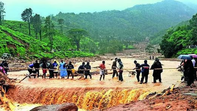 1766798428 untitled design 7.jpg