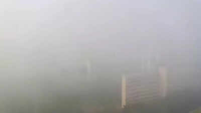 1766803058 unnamed file.jpg