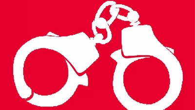 1766809473 untitled design.jpg