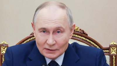 1766925389 untitled design 24.jpg