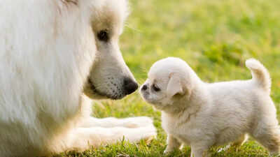 1766942066 representative image.jpg