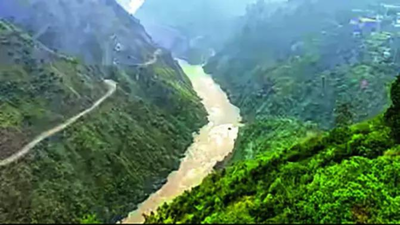 1766957493 untitled design 52.jpg