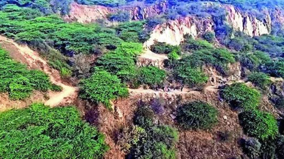 1766960557 untitled design 54.jpg