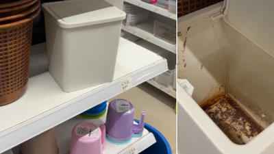 1766984668 unnamed file.jpg