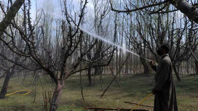 1766988991 unnamed file.jpg