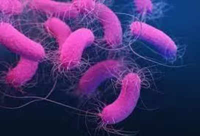 1766997348 unnamed file.jpg