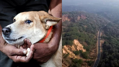 1767021867 image ani.jpg