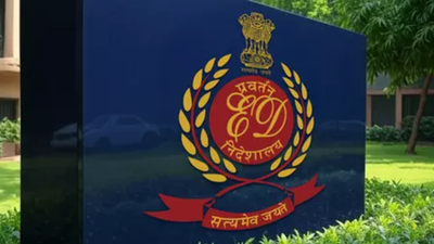 1767198340 untitled design 5.jpg