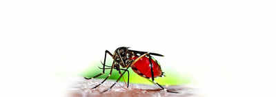 25 malaria 19 dengue cases in nine days.jpg
