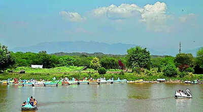 After 30 years sc says its time to let hcs look into state related green issues.jpg