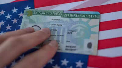 An indian origin ceo said h 1b visa holders should try come out of the visa pool and plunge into the.jpeg
