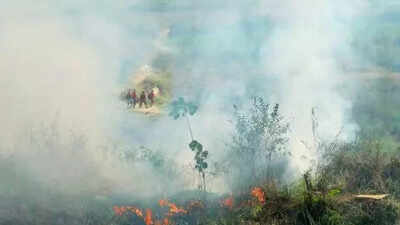 April reported the highest number of calls with 1030 cases registered related to garbage fires follo.jpeg