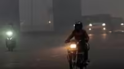 Cold wave and fog tighten their grip in festive season.jpg