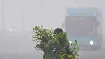 Delhi39s air quality plunged to 39severe39 levels with an aqi of 403 file photo.jpg