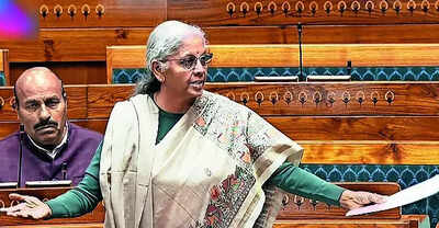 Excise on tobacco products to be shared with states says fm.jpg