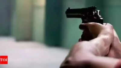 Guddan collapsed at the spot with critical injuries the accused then returned to his house and alleg.jpeg