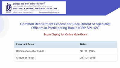 Ibps so mains scorecard 2025.jpg