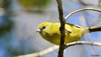 Image 2025 12 01t153718.jpg