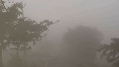 Imd issues yellow alert for dense fog.jpg