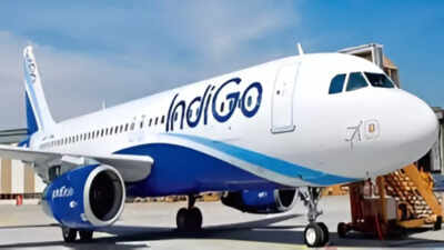 Indigo airline.jpg