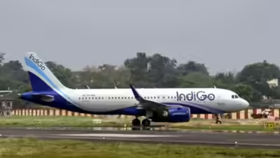 Indigo.jpg