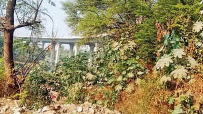Kuldeep lay in the bushes for nearly four hours until passersby noticed him and made a pcr call.jpg