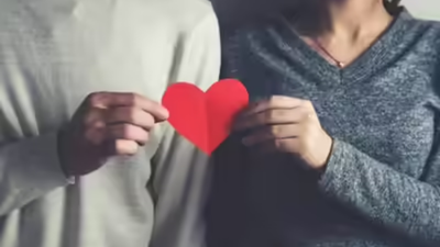 Live in not illegal it39s states duty to protect such couples allahabad hc.jpg