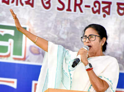 Mamata banerjee on assault on non veg food stall.jpg