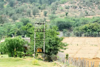 No new mining lease till mgmt plan is final.jpg