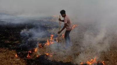 No punjab district in farm fire top 10.jpg