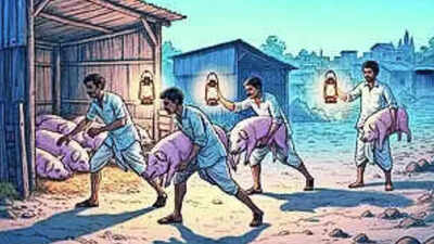 Police are now on the trail of the remaining suspects and the vehicles used in the unusual livestock.jpeg