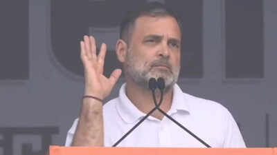 Rahul gandhi ram lila rally.jpg