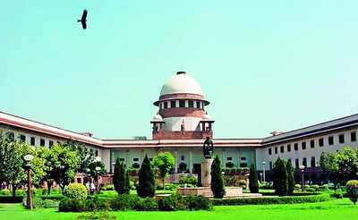 Restore karnal green belt in 3 mths sc directs haryana.jpg