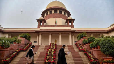 Sc asks states to deploy additional staff to help blos facing hardship during sir.jpg