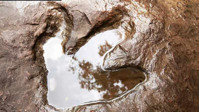 Scientists found more than 16000 dinosaur footprints underwater in bolivia.jpg