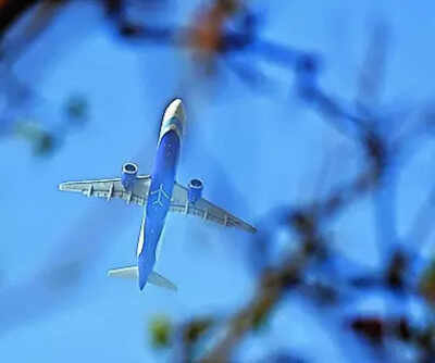 Senior expat official in indigo management may face action.jpg