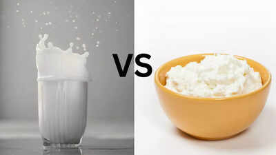 Stronger than milk researchers point to an unexpected food for bone health.jpg