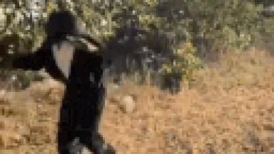 Telangana sarpanch dons bear costume to scare away monkeys.jpg