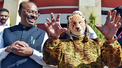 To highlight big cat attacks mla enters house as 39leopard39.jpg