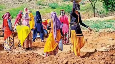 1767405601 representative image.jpg