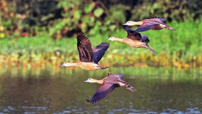 1767732627 representative image.jpg