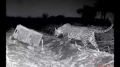 1767906795 untitled design 7.jpg