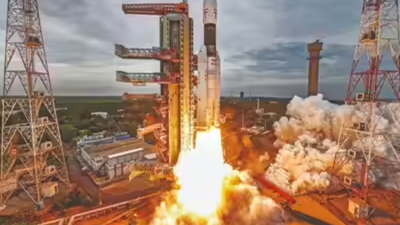 1768077813 untitled design 5.jpg