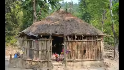 1768086480 untitled design 17.jpg