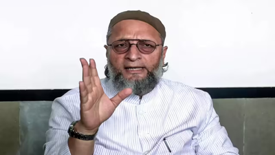 1768086987 untitled design 21.jpg