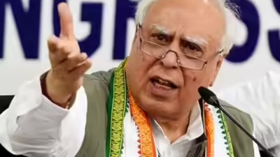 1768255690 untitled design 29.jpg