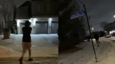 1768297957 untitled design 45.jpg