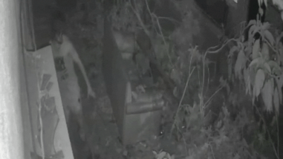 1768366527 unnamed file.jpg